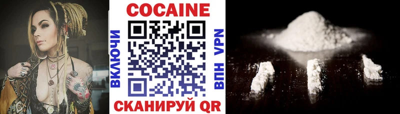 купить закладку  Вязьма  Cocaine Эквадор 