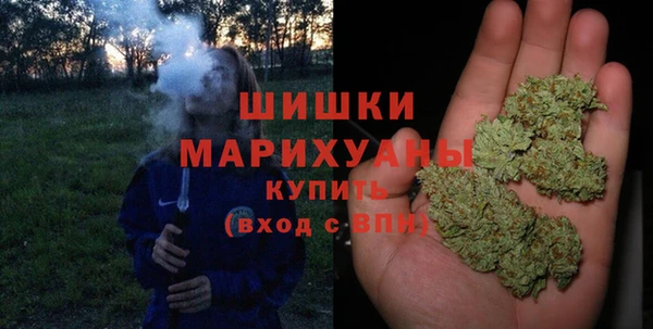 винт Няндома