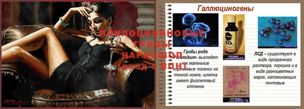 спиды Верхний Тагил